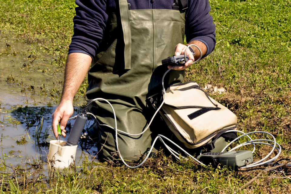 environmental consultant