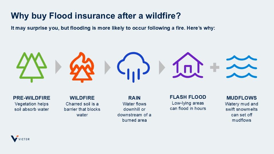 Flood after wildfire infographic