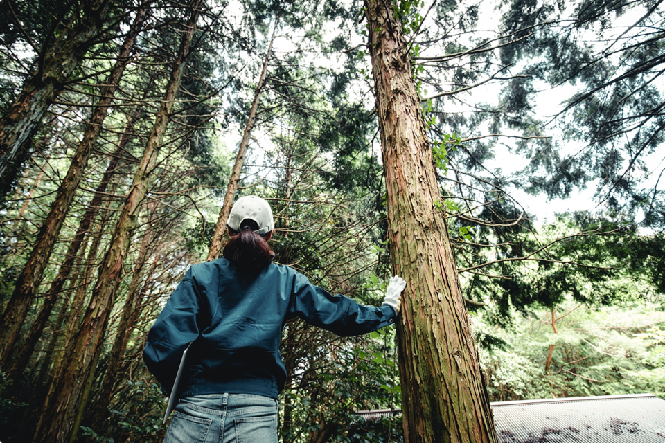 Logger in a white ball cap touching a tree