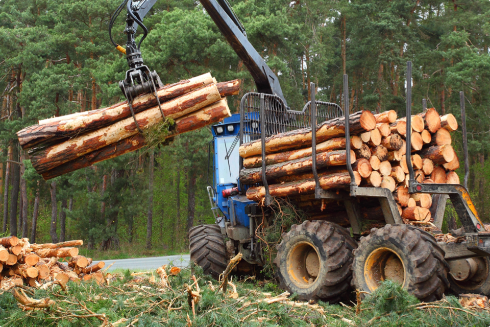 Blue feller picking up logs